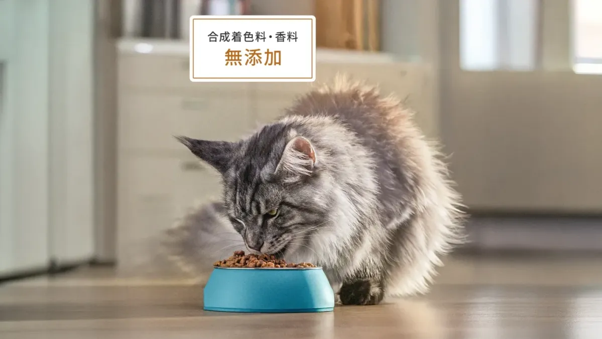 PURINA ONE グレインフリー キャットフード PURINA ネスレピュリナ ピュリナワン キャット ドライ グレインフリー